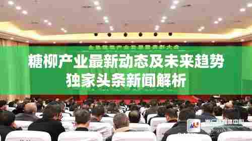 糖柳产业最新动态及未来趋势独家头条新闻解析