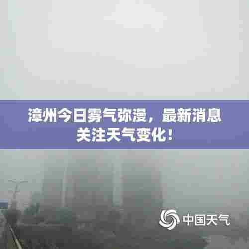 漳州今日雾气弥漫，最新消息关注天气变化！