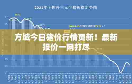 方城今日猪价行情更新!最新报价一网打尽