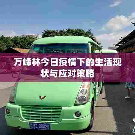 不求甚解 第3页