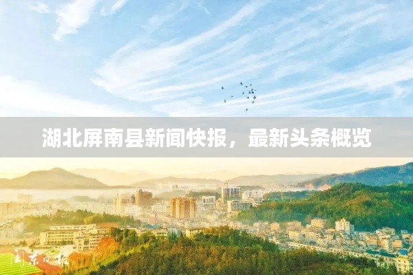 湖北屏南县新闻快报,最新头条概览