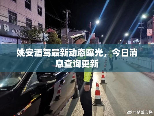 姚安酒驾最新动态曝光，今日消息查询更新