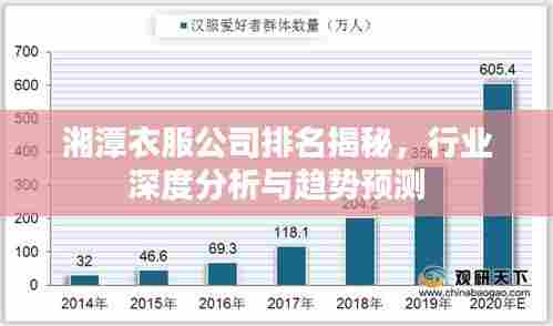 湘潭衣服公司排名揭秘，行业深度分析与趋势预测