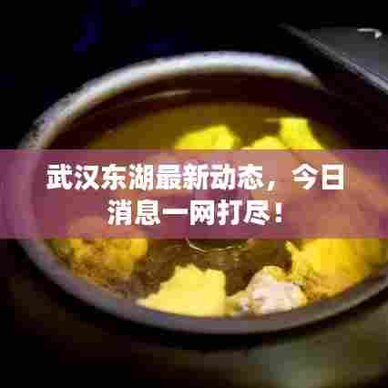 武汉东湖最新动态,今日消息一网打尽!