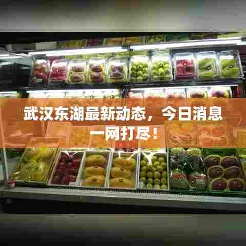 武汉东湖最新动态,今日消息一网打尽!