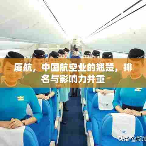 厦航,中国航空业的翘楚,排名与影响力并重