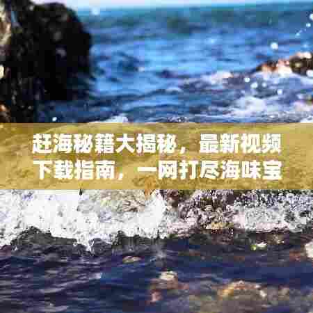 赶海秘籍大揭秘，最新视频下载指南，一网打尽海味宝藏！