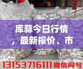 库蒜今日行情,最新报价、市场动态及未来趋势深度解析