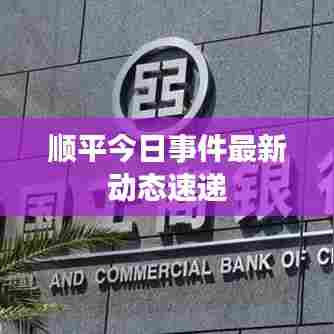 顺平今日事件最新动态速递