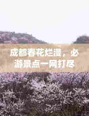 成都春花烂漫,必游景点一网打尽!