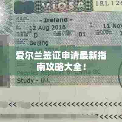 龙飞九五 第2页