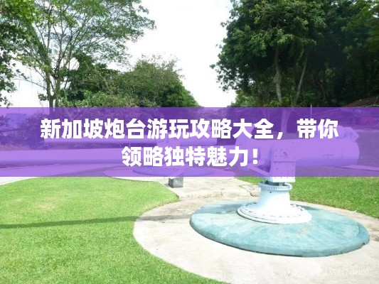 新加坡炮台游玩攻略大全，带你领略独特魅力！