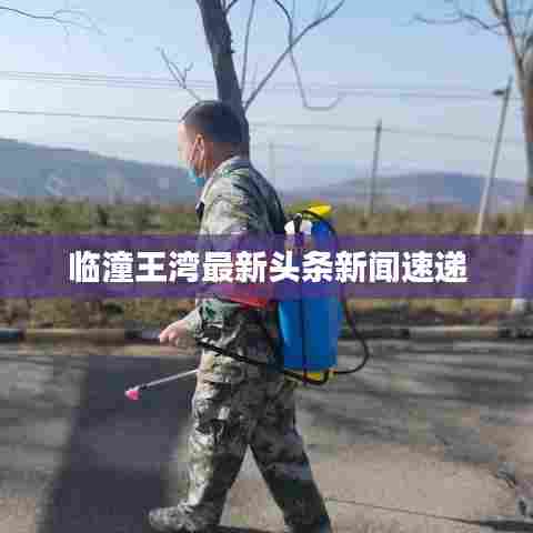 临潼王湾最新头条新闻速递