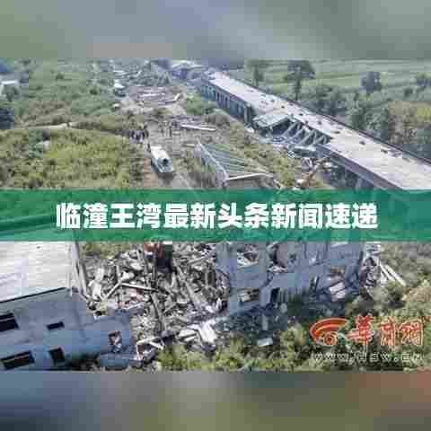临潼王湾最新头条新闻速递