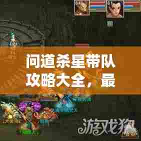 问道杀星带队攻略大全,最新版攻略助你轻松通关!