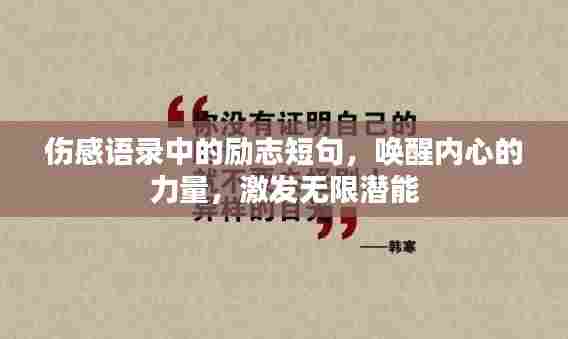 伤感语录中的励志短句,唤醒内心的力量,激发无限潜能