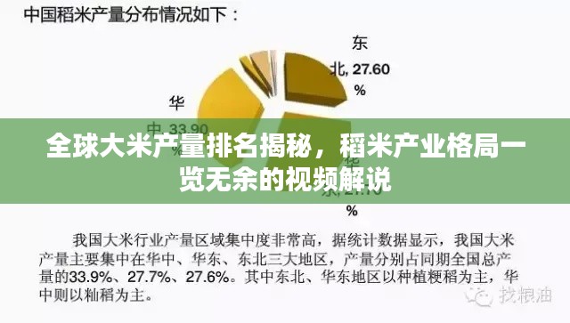 全球大米产量排名揭秘，稻米产业格局一览无余的视频解说