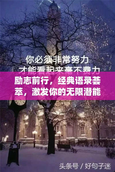 秀外慧中 第3页