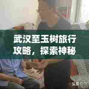 武汉至玉树旅行攻略,探索神秘之旅