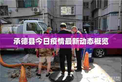 承德县今日疫情最新动态概览