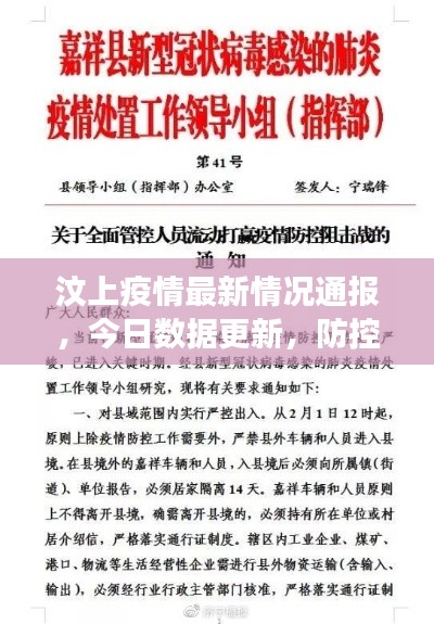 汶上疫情最新情况通报，今日数据更新，防控进展一览