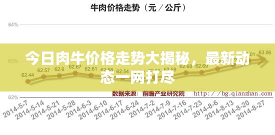 今日肉牛价格走势大揭秘,最新动态一网打尽
