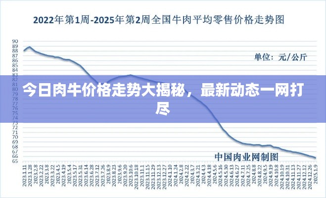 今日肉牛价格走势大揭秘,最新动态一网打尽