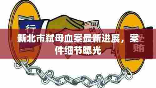 新北市弑母血案最新进展，案件细节曝光