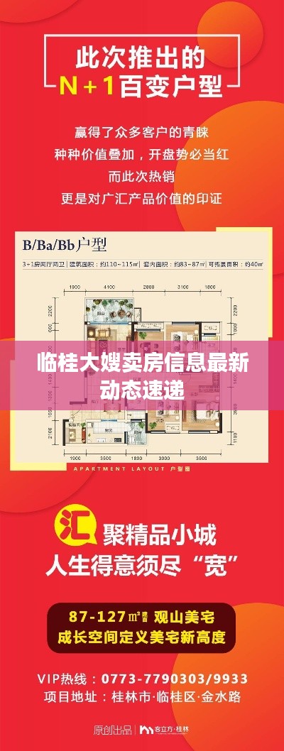 临桂大嫂卖房信息最新动态速递