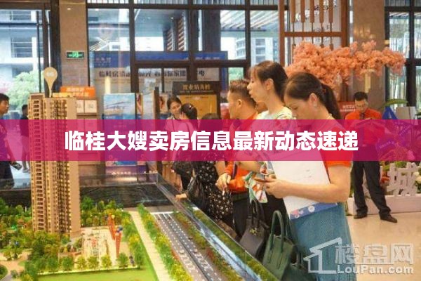 临桂大嫂卖房信息最新动态速递