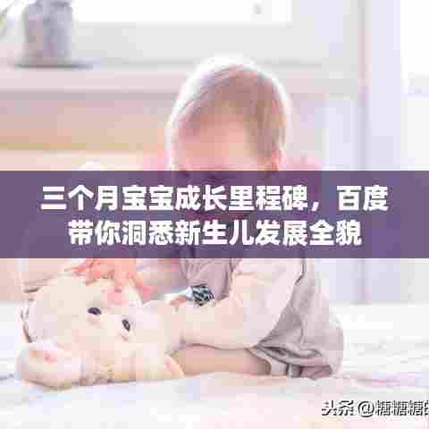 三个月宝宝成长里程碑,百度带你洞悉新生儿发展全貌