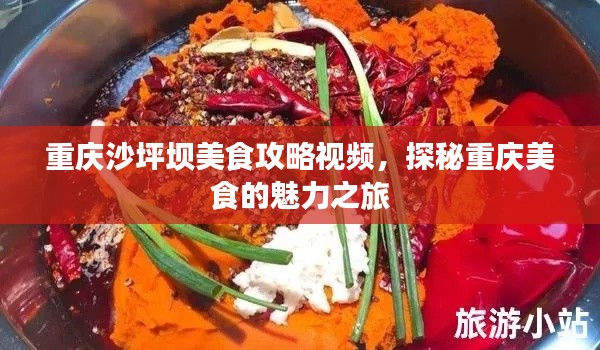 重庆沙坪坝美食攻略视频，探秘重庆美食的魅力之旅