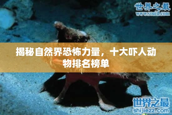 揭秘自然界恐怖力量，十大吓人动物排名榜单