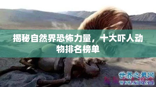 揭秘自然界恐怖力量,十大吓人动物排名榜单
