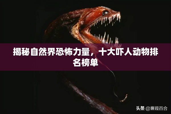 揭秘自然界恐怖力量,十大吓人动物排名榜单