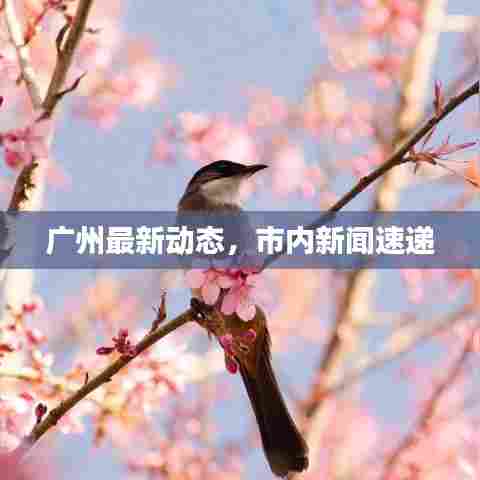 广州最新动态,市内新闻速递