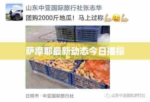 萨摩耶最新动态今日播报