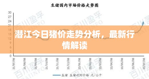 潜江今日猪价走势分析,最新行情解读