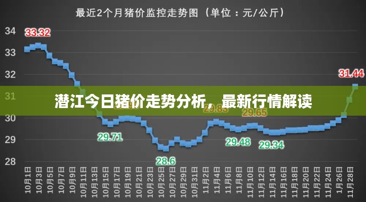 潜江今日猪价走势分析,最新行情解读