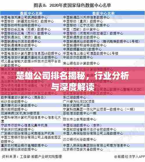 楚雄公司排名揭秘，行业分析与深度解读