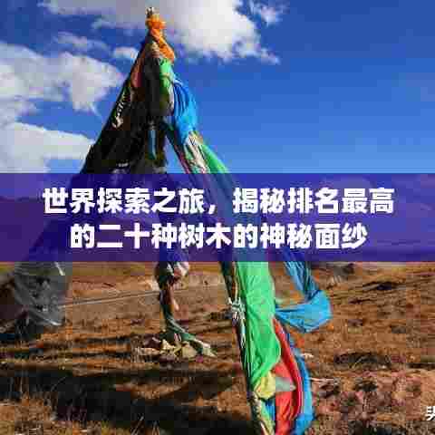 世界探索之旅,揭秘排名最高的二十种树木的神秘面纱