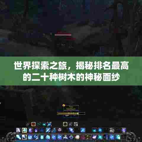 世界探索之旅,揭秘排名最高的二十种树木的神秘面纱
