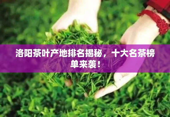 洛阳茶叶产地排名揭秘,十大名茶榜单来袭!