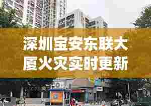 深圳宝安东联大厦火灾实时更新,最新消息与现场情况速递