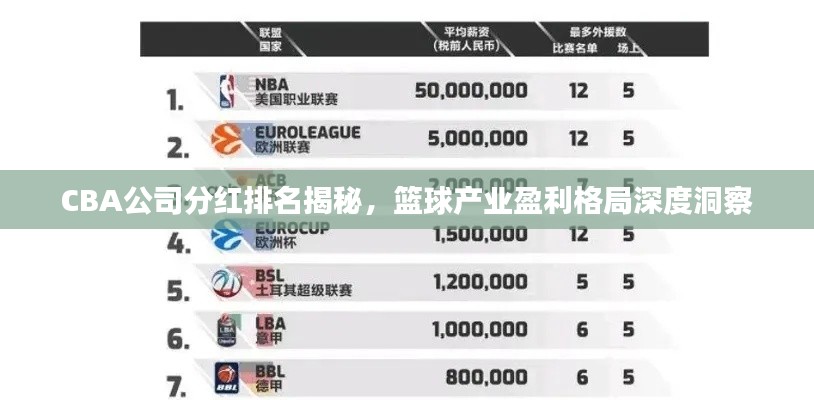 CBA公司分红排名揭秘,篮球产业盈利格局深度洞察
