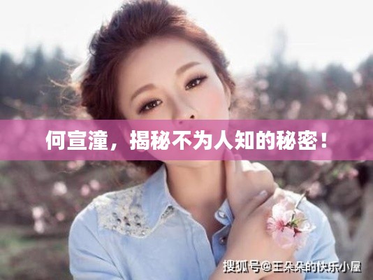 何宣潼,揭秘不为人知的秘密!