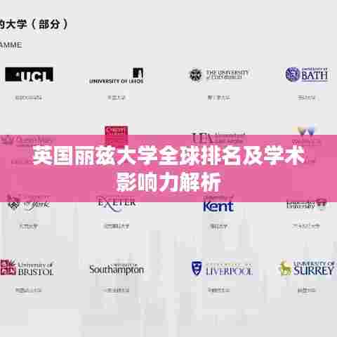 英国丽兹大学全球排名及学术影响力解析