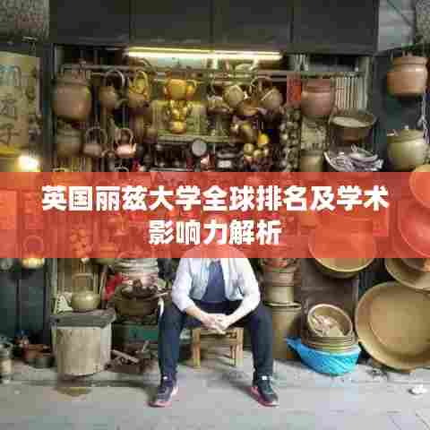 英国丽兹大学全球排名及学术影响力解析
