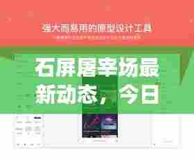 石屏屠宰场最新动态,今日工作状态与日常运营揭秘