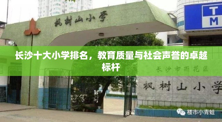 鞭驽策蹇 第3页